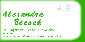 alexandra becsek business card